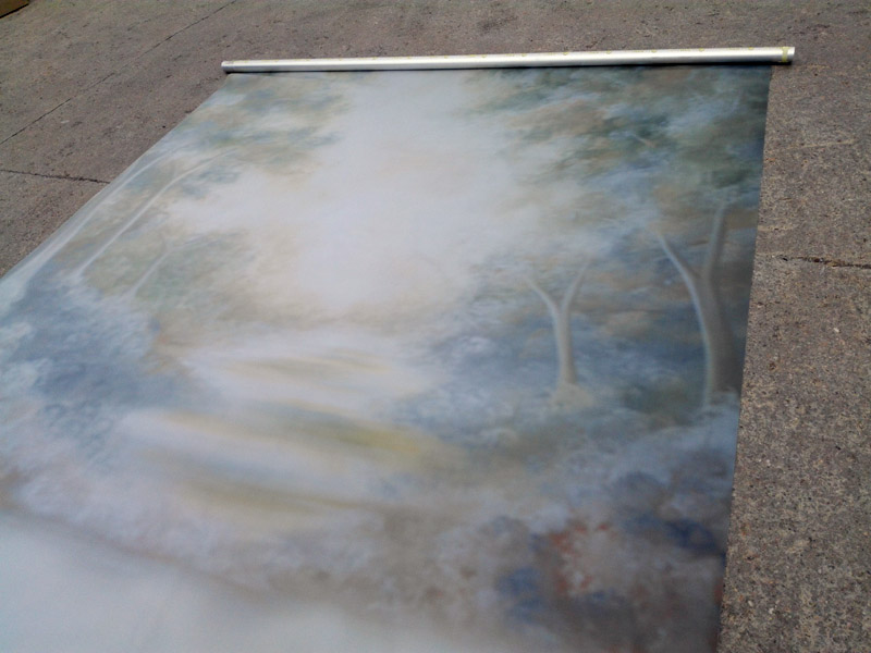 fondo fotografico niebla lago bosque tubo aluminio loneta 494x260 (100eu) 1u